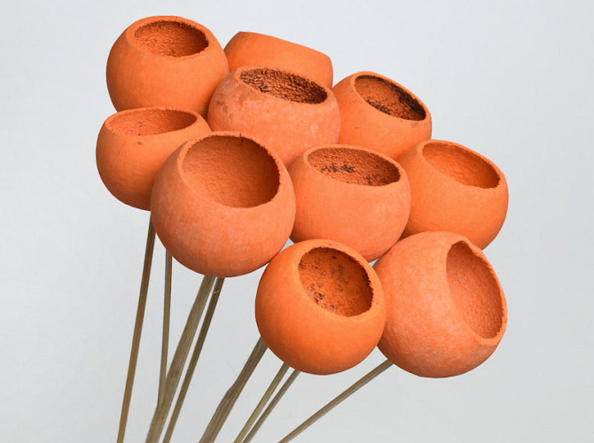 Bell Cup Orange (10 pcs)