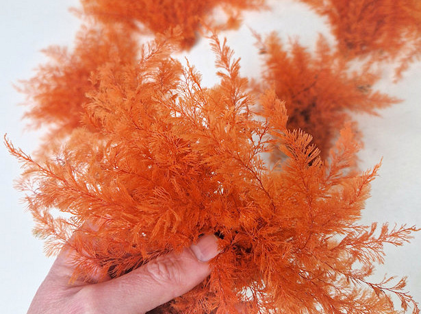 Air Fern Orange 15cm 5-Pack 