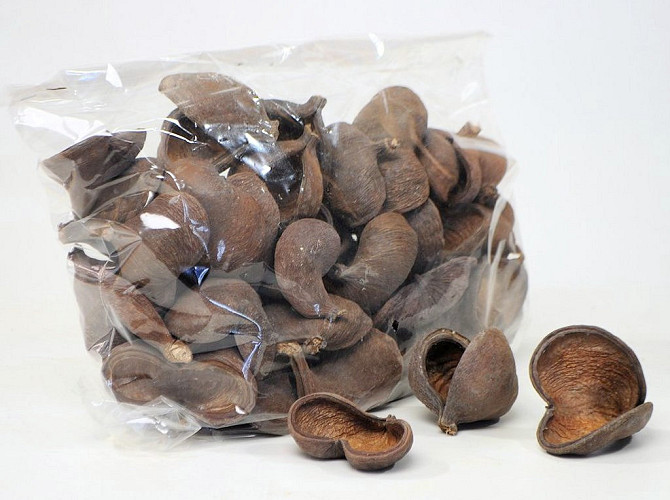 Badam 50pcs small