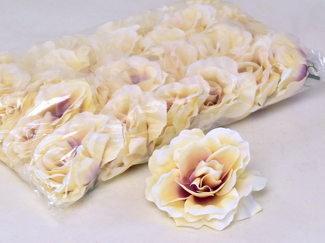 Rose D10cm Creme/Purple