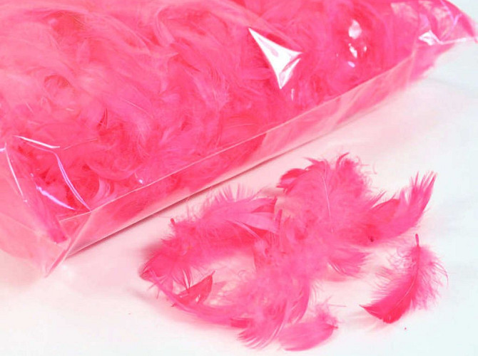 Feathers Pink 100gr.