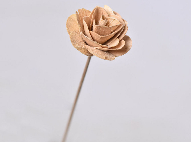 Wood Rose on 40cm stem