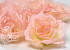 Artificial Rose Peach D10cm