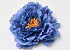 Artificial Peony Blue D18cm 