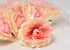 Artificial Rose Yellow/Salmon D11cm