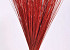 Reed Cane Red 75cm