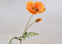 Artificial Poppy Flower Orange 65cm 