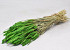Bouquet Triticum vert clair (blé) 70cm