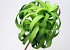 Foam Plant 50cm groen