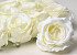 Artificial Rose Cream D10cm