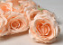 Artificial Rose Peach D10cm 