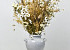 DIY Dried Flower Bouquet White/Natural XL