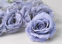 Artificial Rose Ice Blue D10cm 