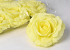 Artificial Rose Yellow D15cm