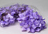 Artificial Hydrangea Head Pastel Lilac D16cm 