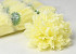 Artificial Dahlia Yellow/Cream D16cm 