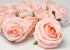 Rose Rose Claire Artificielle D9cm