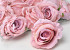 Artificial Rose Soft Pink D10cm