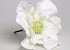 Foam Flower XL 30cm White