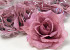 Artificial Rose Mauve D10cm 