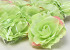 Artificial Rose Green D11cm