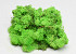 Lichen stabilisé Vert Clair 40gr.