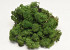 Reindeer Moss Moss Green 40g.