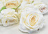 Artificial Rose White D10cm