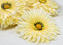 Artificial Gerbera Yellow D15cm