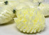 Chrysanthème Jaune/Crème Artificielle D13cm