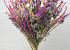 DIY Dried Flower Bouquet White/Pink XL