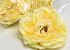 Pivoine Jaune Artificielle D13cm