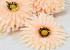 Artificial Gerbera Peach D15cm