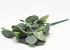 Artificial Eucalyptus Spray 34cm