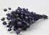 Bouquet Nigella Pourpre 45cm 