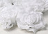 Artificial Rose White D10cm