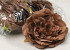 Artificial Peony Brown D13cm