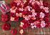 DIY Flower Panel Grid Red 80x60cm