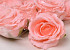 Artificial Rose Pink D10cm