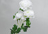 Artificial Camellia White 70cm 