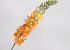 Artificial Foxtail lily romance 106cm