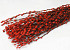 Chatons de Saule 70cm Rouge 50pcs