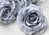 Rose Satin Grau D11cm