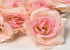 Artificial Rose Pink D10cm