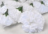 Artificial Carnation White D9cm