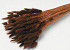 Bouquet Lagurus Marron 65cm