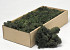 Reindeer Moss Pine Green 500g.