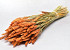 Bouquet Triticum Orange (blé) 70cm