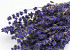 Getrockneter Lavendel 35gr.
