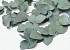 Eucalyptus Cinerea Green 65cm